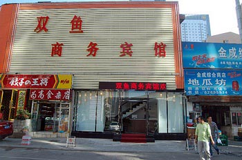 ˫