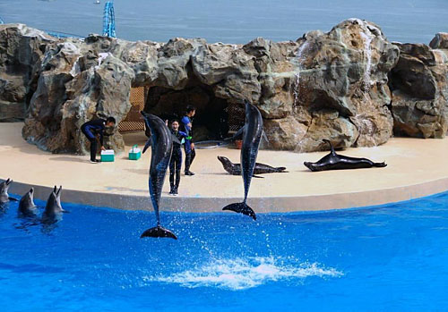海洋公園