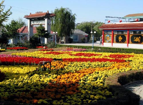 集发观光园