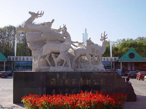 野生動物園